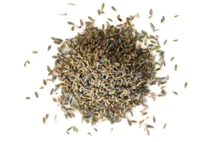 Lavender Flowers, English Organic from Mountain Rose Herbs