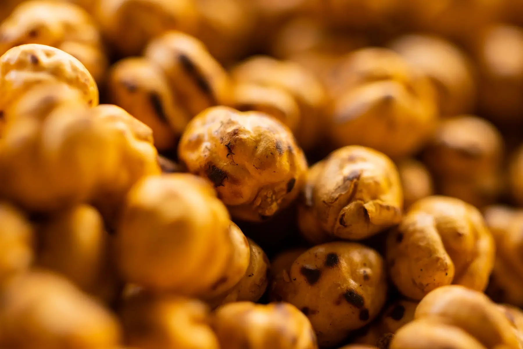 Close view of golden roasted chickpeas