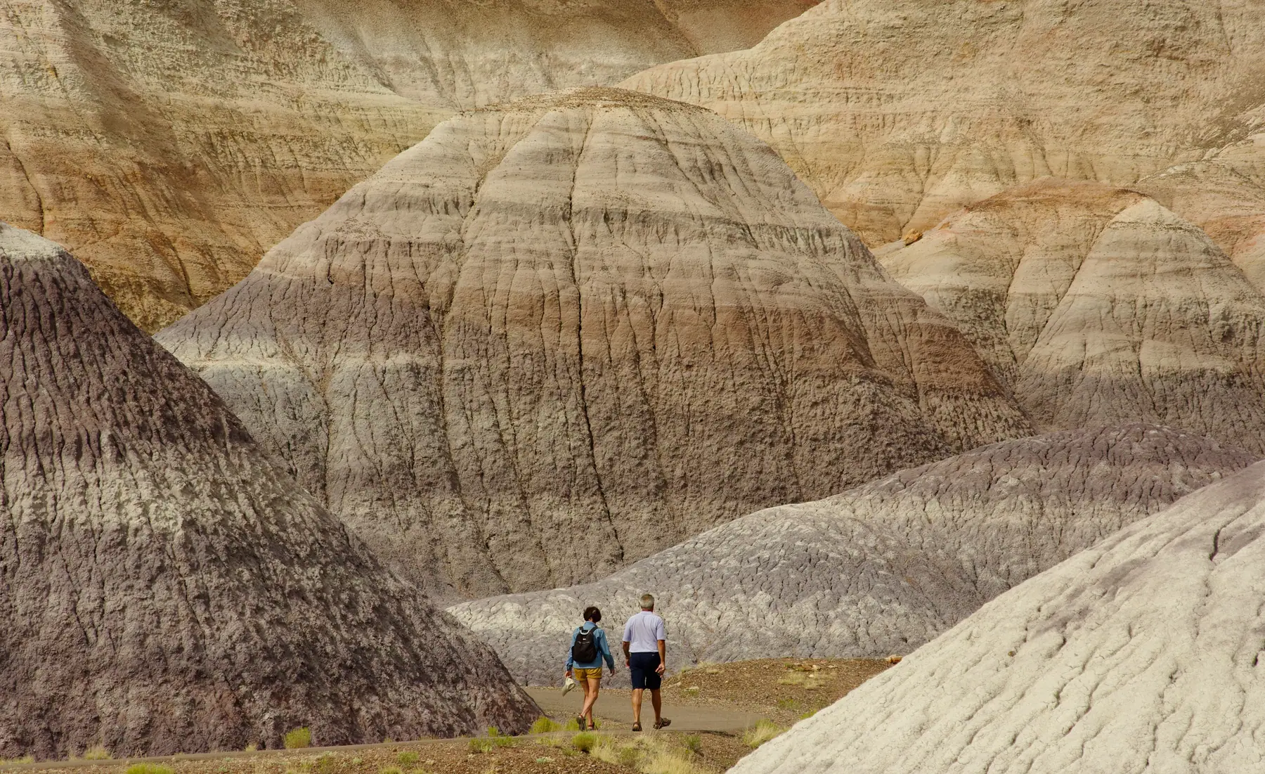 Two hikers walking among layered desert badlands hills