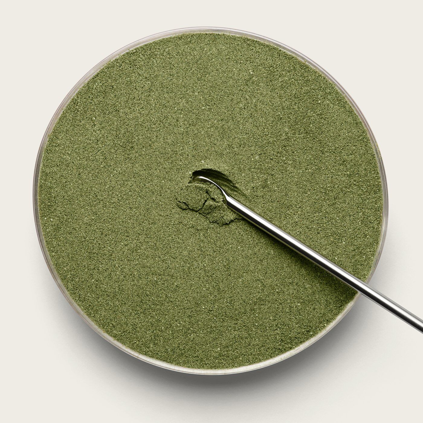 A dish of AG1 green powder with a spoon